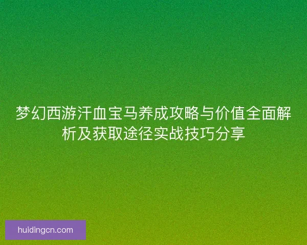 梦幻西游汗血宝马养成攻略与价值全面解析及获取途径实战技巧分享