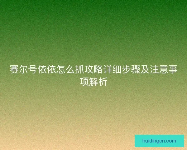赛尔号依依怎么抓攻略详细步骤及注意事项解析 赛尔号依依怎么抓攻略详细步骤及注意事项解析